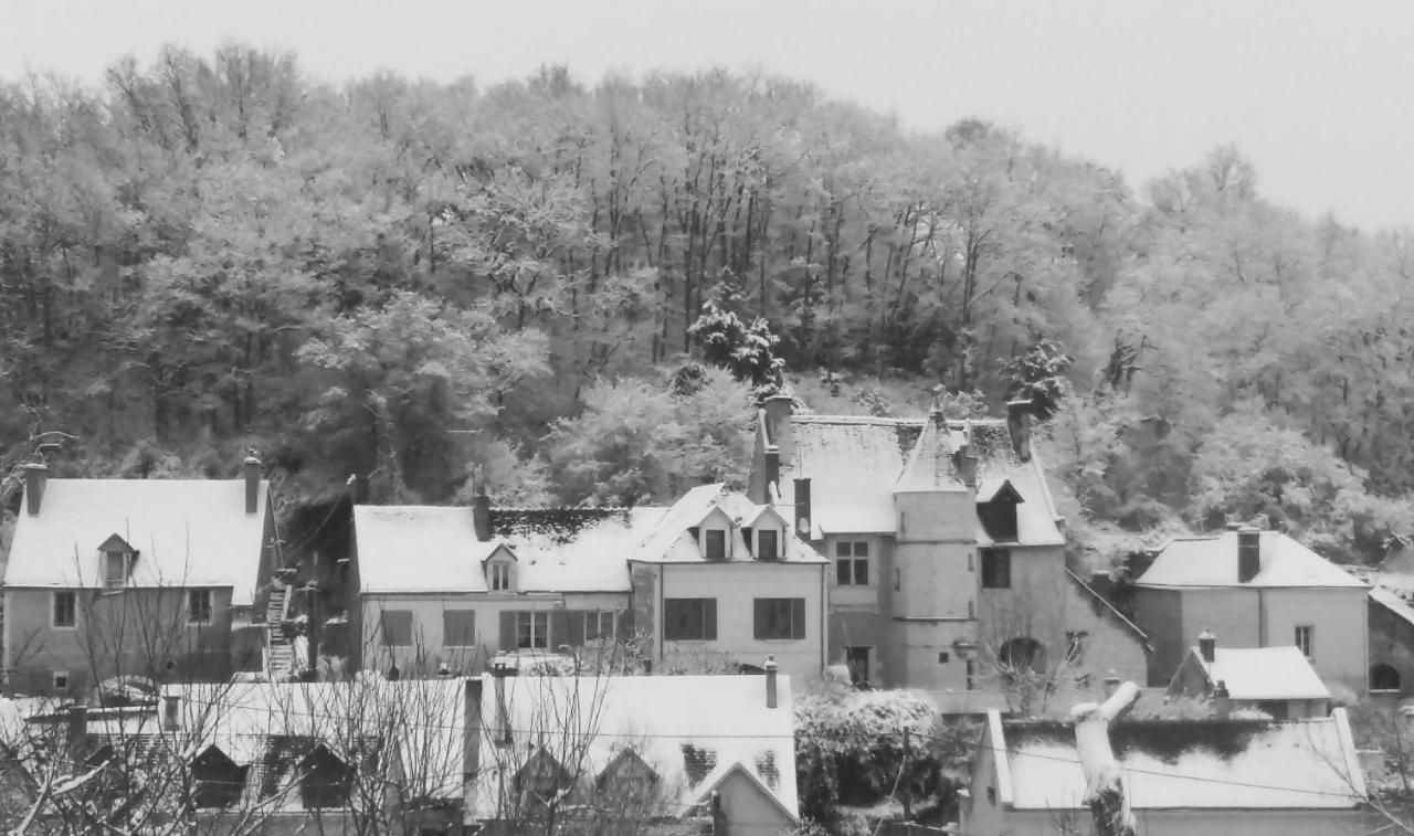 Le Manoir Des Roches Panzió Bourré Kültér fotó