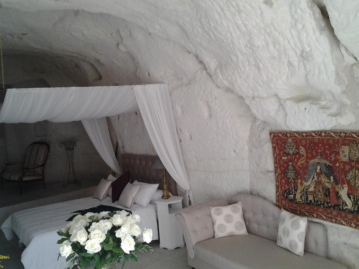 Le Manoir Des Roches Panzió Bourré Kültér fotó