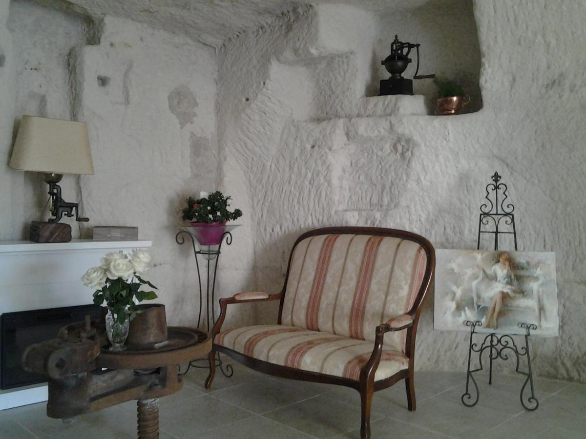 Le Manoir Des Roches Panzió Bourré Kültér fotó