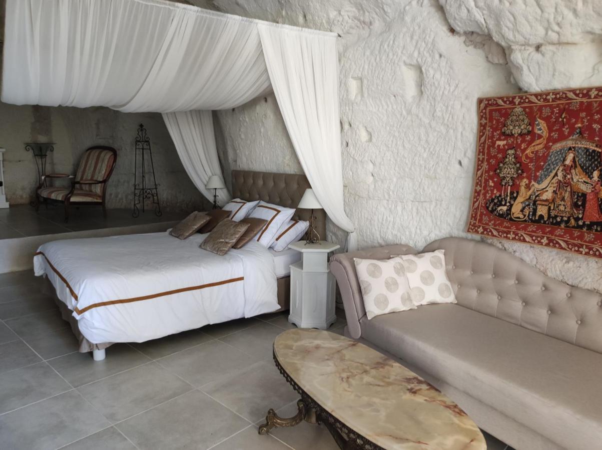 Le Manoir Des Roches Panzió Bourré Kültér fotó