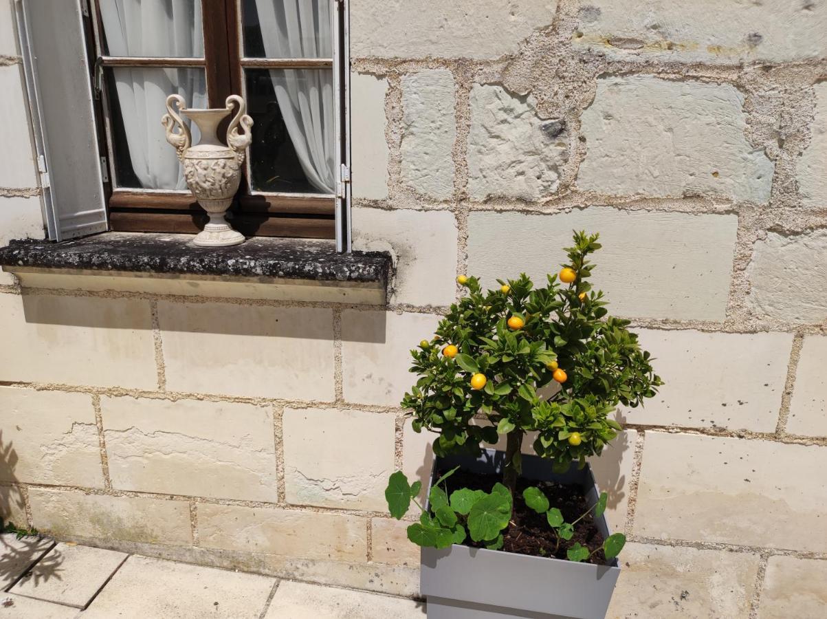 Le Manoir Des Roches Panzió Bourré Kültér fotó